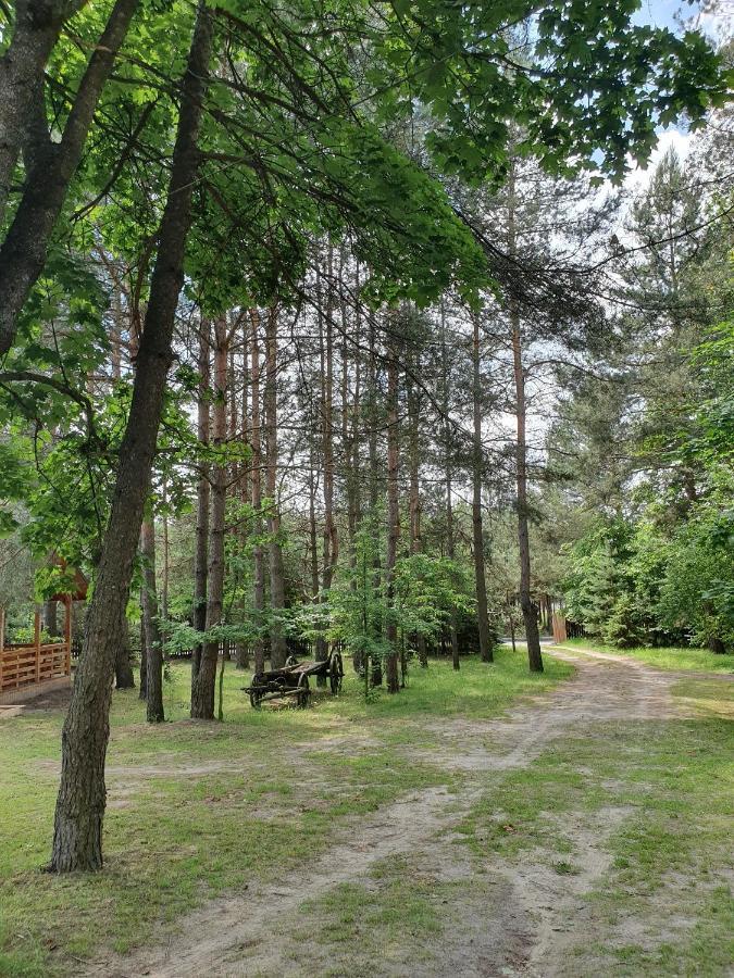 Вилла Roztocze U Aleksa Susiec - Jacuzii , Goraca Balia!!! Экстерьер фото